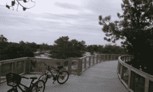 Metal bridge on gordon pond