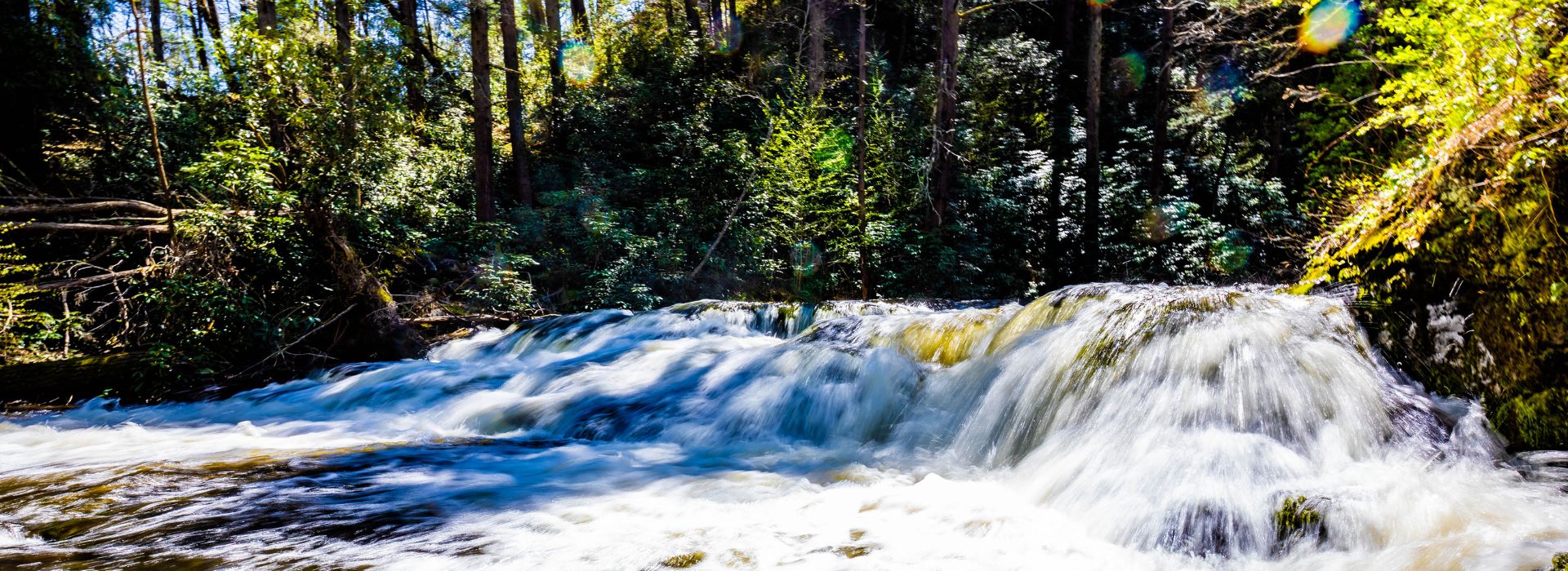 Low waterfull surrounded by lush green trees