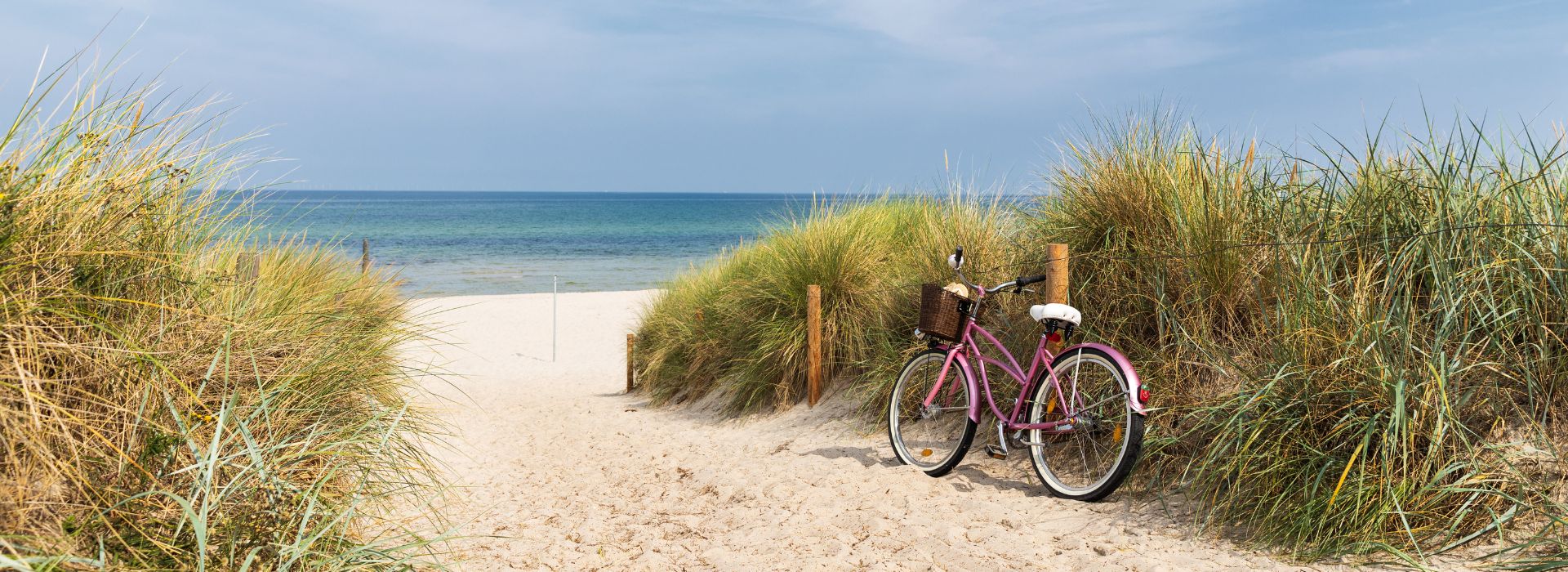 A pink bike parked at a sandy pathway to the ocean surrounded by dune grass