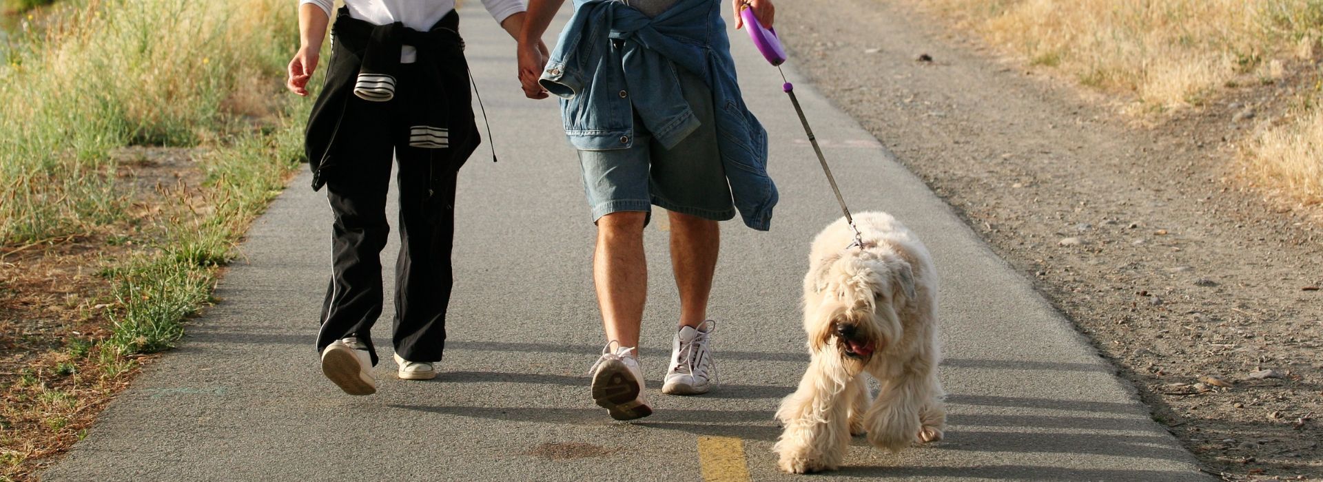 A couple holding hands while walking their dog on a paved trail