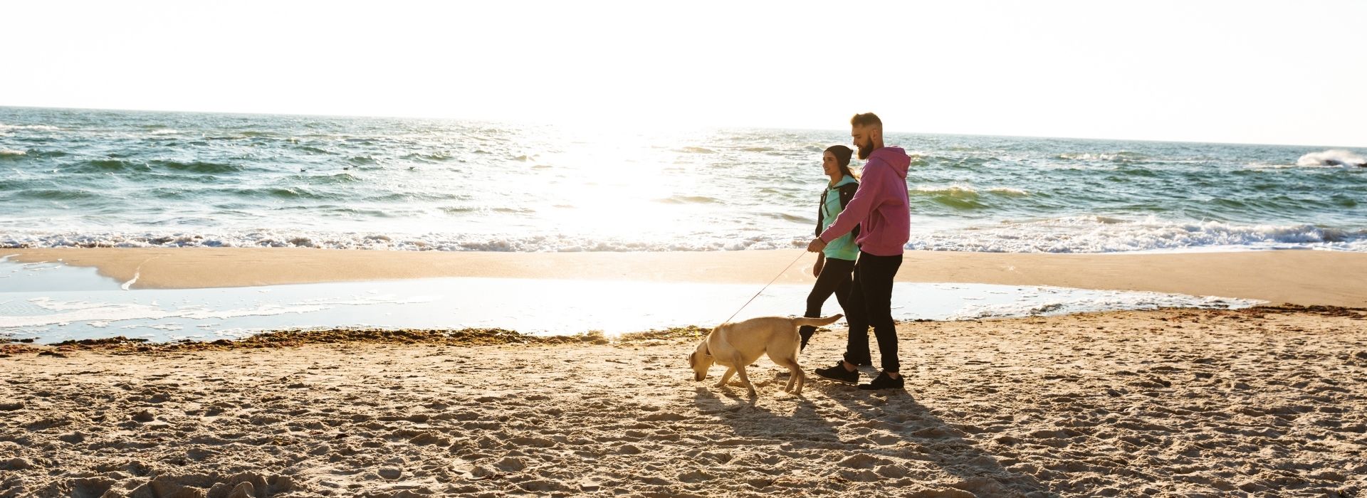 Couple walking a golden retriever dog on the beach