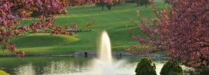 Beautiful green golf course with flowering trees, a pond and fountain