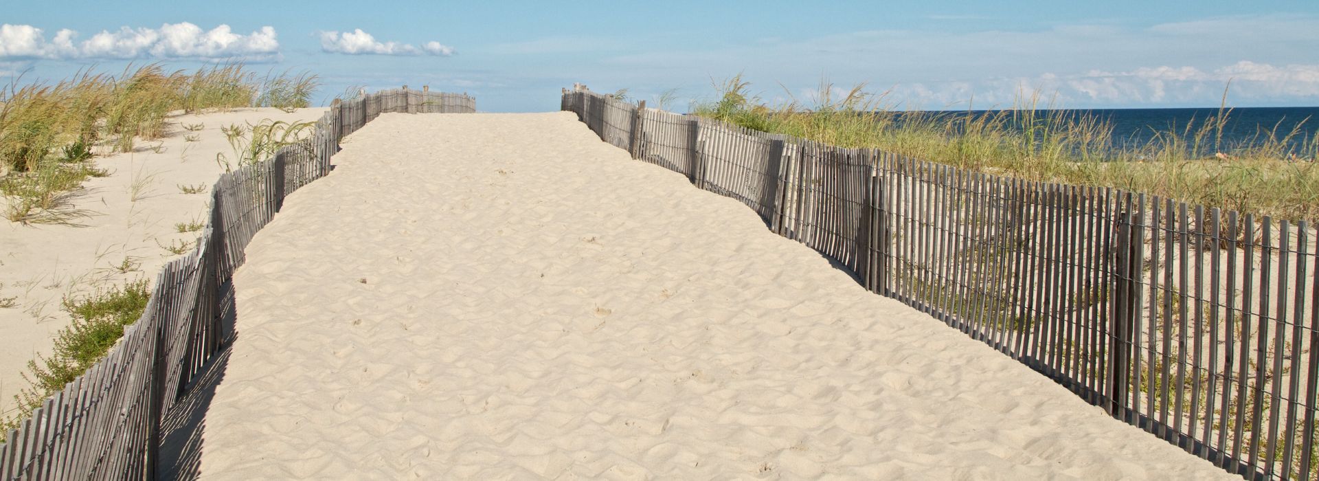 A path walking on sand at Cape Henlopen State Park in Delaware