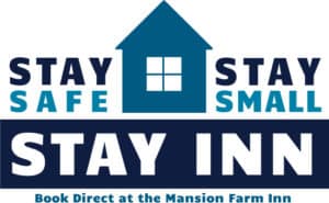 stay safe logo blue and dark blue