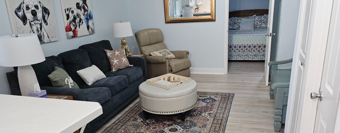 LIving room with Navy blue couch and round white ottoman