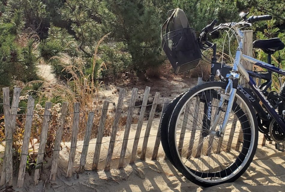 two bikes leaning on a red fence in the sand