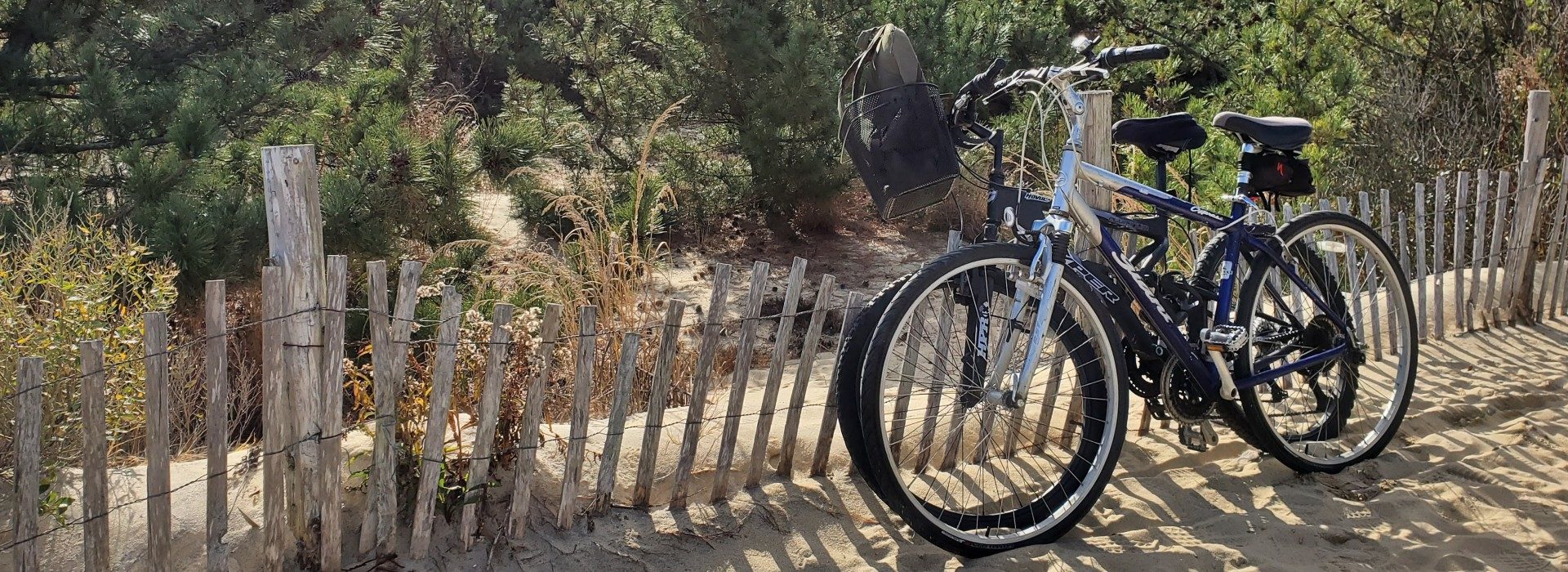 2 bikes, black and blue in the sand on walk way to beach